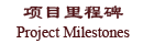 Title of Project milestones